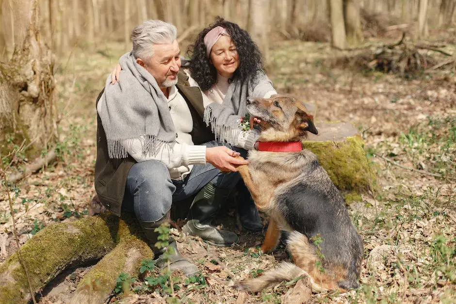 Can i give my dog aspirin for pain? 2 can i give my dog aspirin for pain_1
