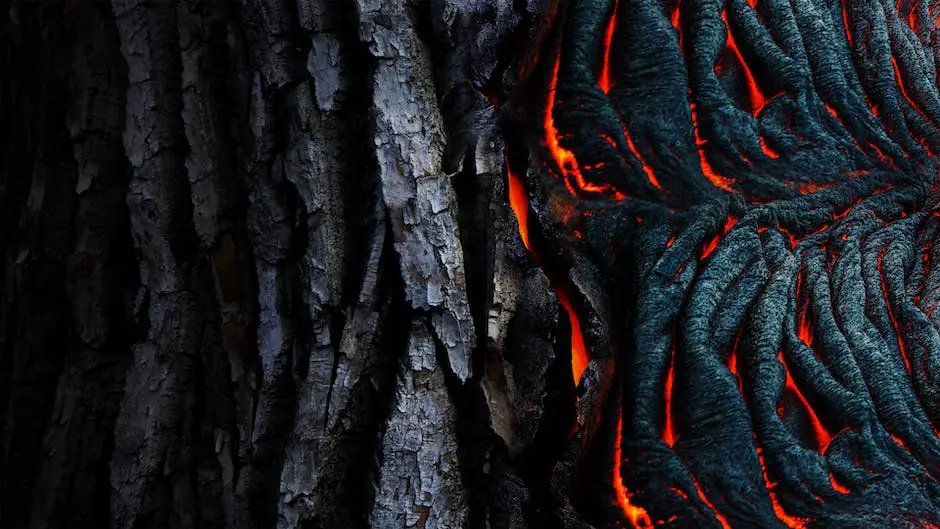 Do beagles bark a lot? 3 do beagles bark a lot_2