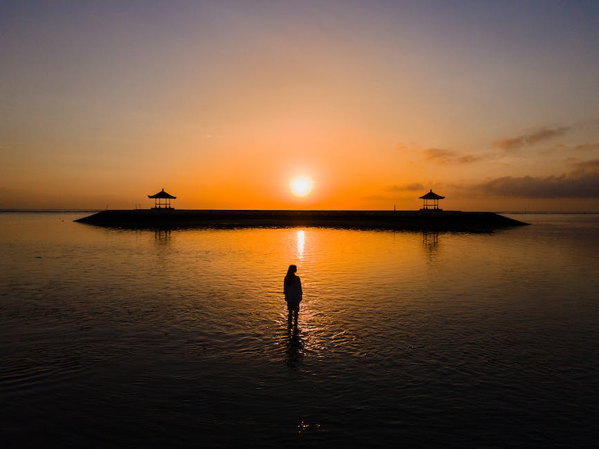 Do golden retrievers shed? 2 do golden retrievers shed_1