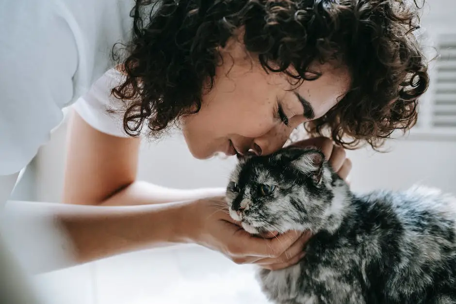 How long does a cat stay in heat? 3 how long does a cat stay in heat_2