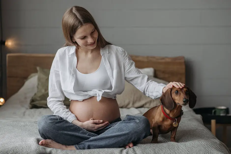 How long does a dog stay pregnant? 2 how long does a dog stay pregnant_1