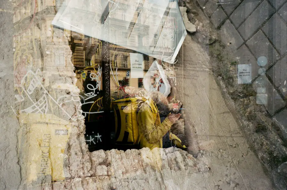 How old is my cat in human years? 2 how old is my cat in human years_1