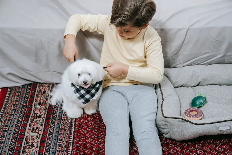 How to get dog pee out of carpet? 2 how to get dog pee out of carpet_1