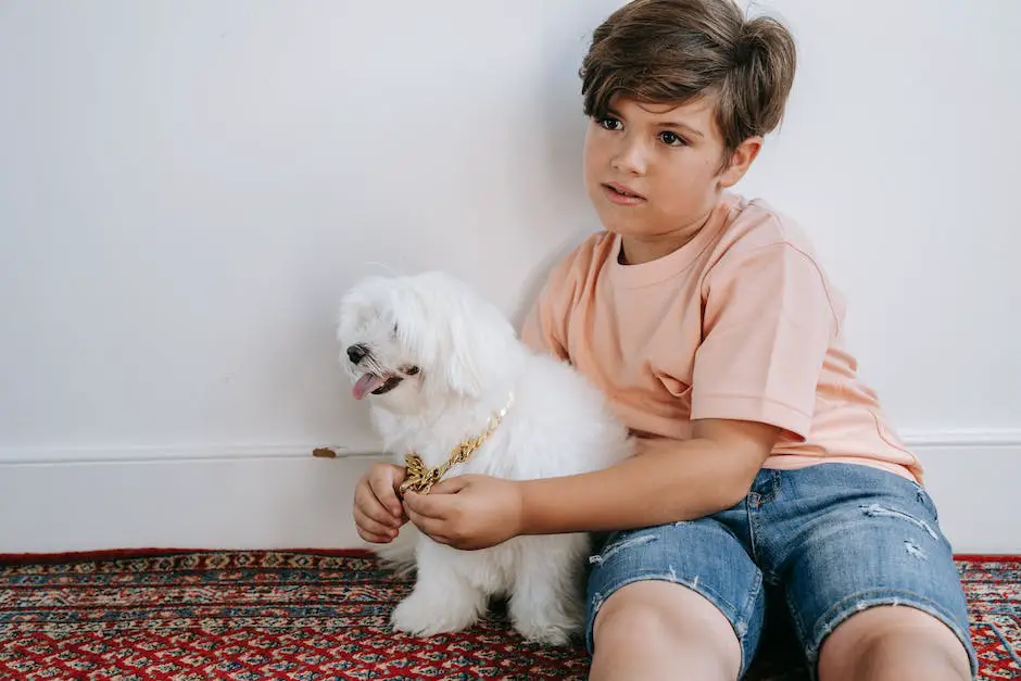 How to get dog pee out of carpet? 3 how to get dog pee out of carpet_2