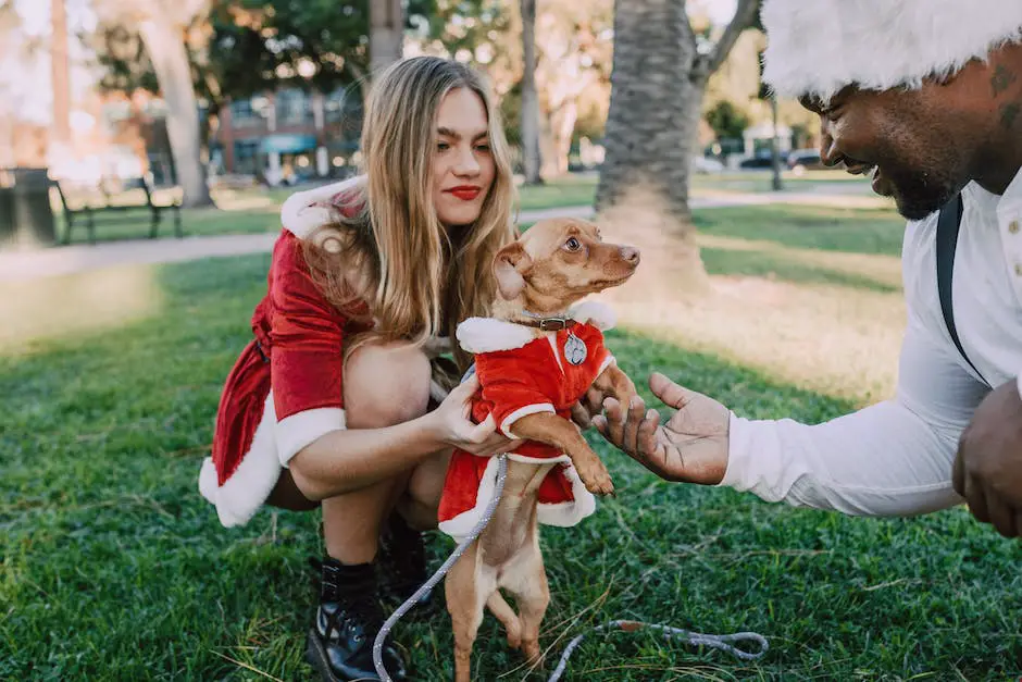 How to tell if a dog has a fever? 3 how to tell if a dog has a fever_2