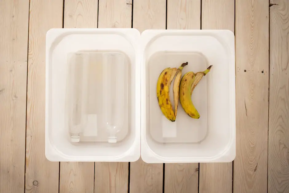 How to train a cat to use the litter box? 3 how to train a cat to use the litter box_2