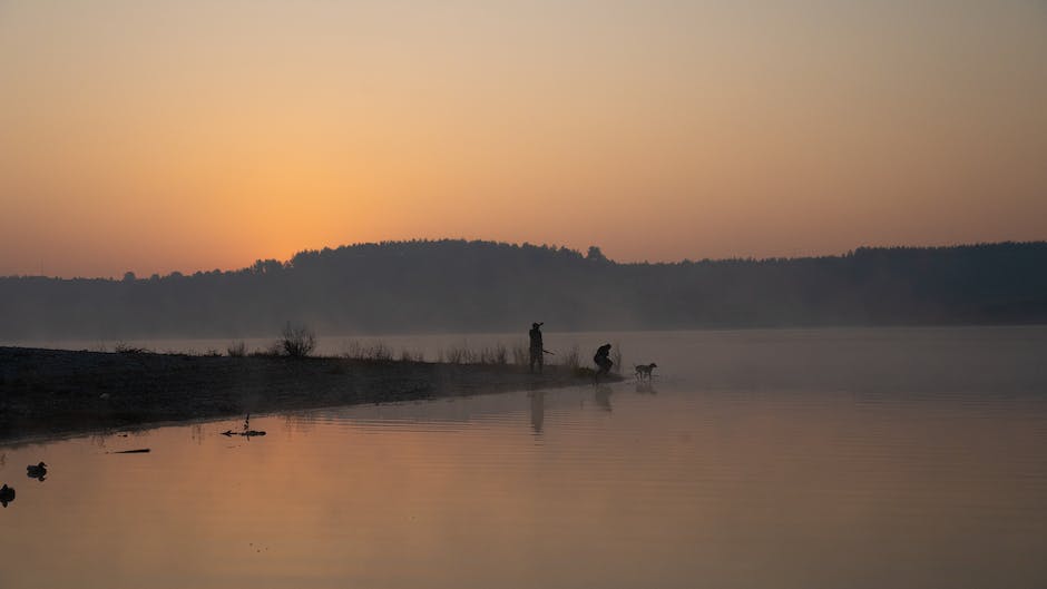 What do beagles hunt? 2 what do beagles hunt_1