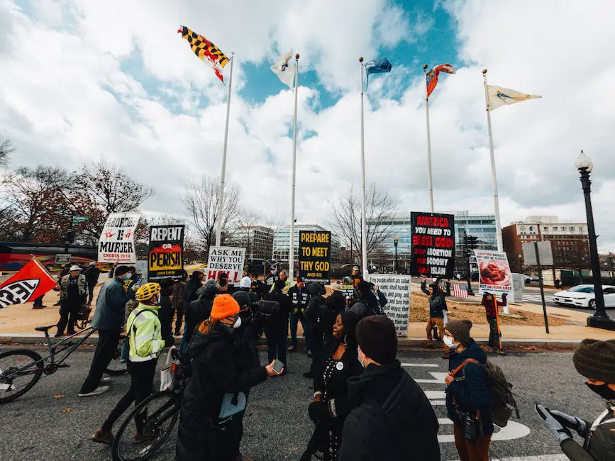 What do you call a group of cats? 3 what do you call a group of cats_2