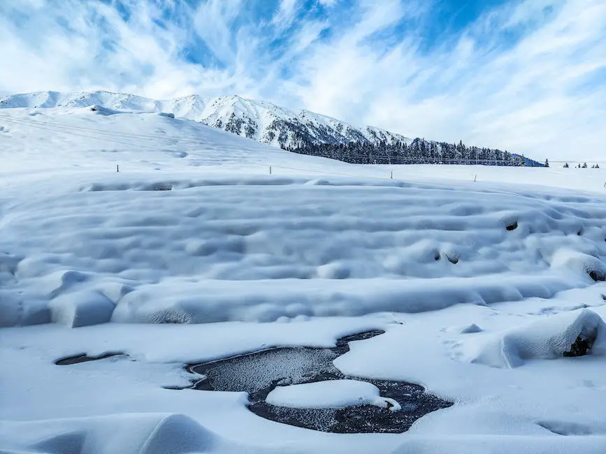 What temperature is too cold for a labrador retriever? 3 what temperature is too cold for a labrador retriever_2