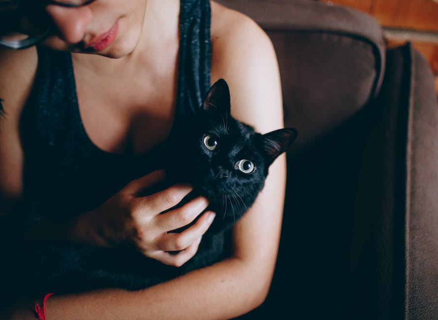 When do female cats go into heat? 3 when do female cats go into heat_2