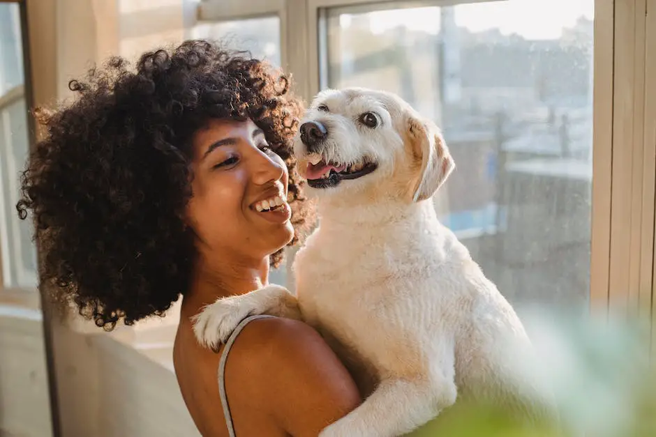 Where to buy labrador retriever? 2 where to buy labrador retriever_1