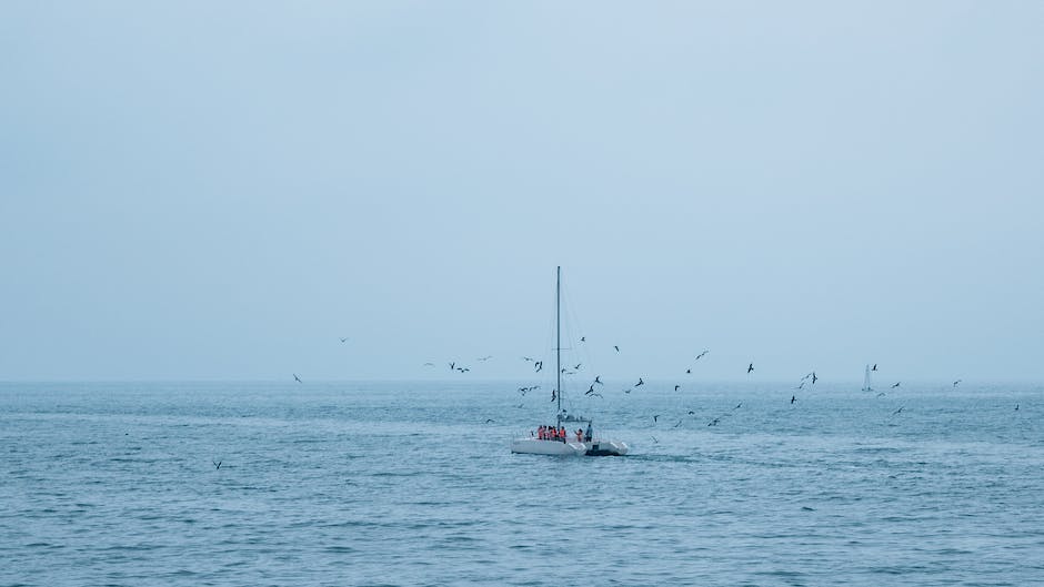 Who sailed the hms beagle? 2 who sailed the hms beagle_1