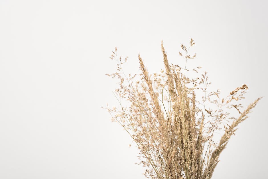 How long to golden retrievers live? 2 how long to golden retrievers live_1