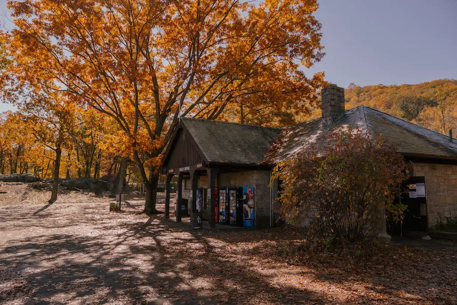 How tall is a golden retriever? 2 how tall is a golden retriever_1