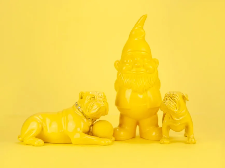 What were bulldogs bred for? 3 what were bulldogs bred for_2