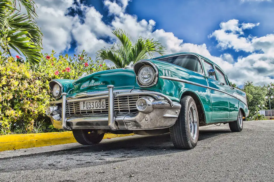 How fast is a german shepherd? 3 how fast is a german shepherd_2