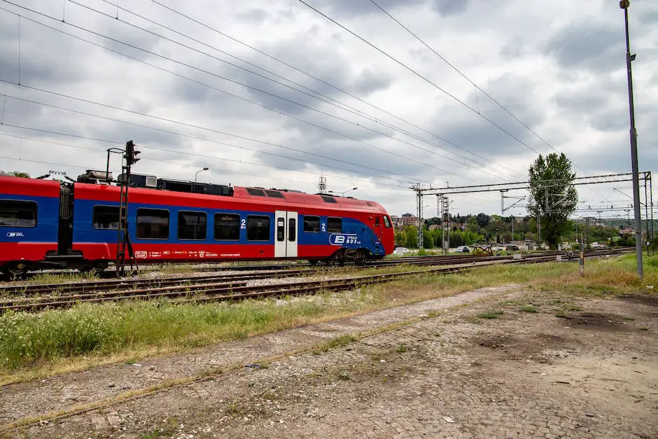 How to train a poodle? 3 how to train a poodle_2