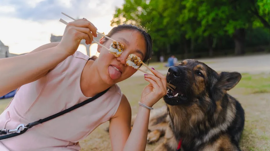 What is the best dry dog food for german shepherds? 2 what is the best dry dog food for german shepherds_1