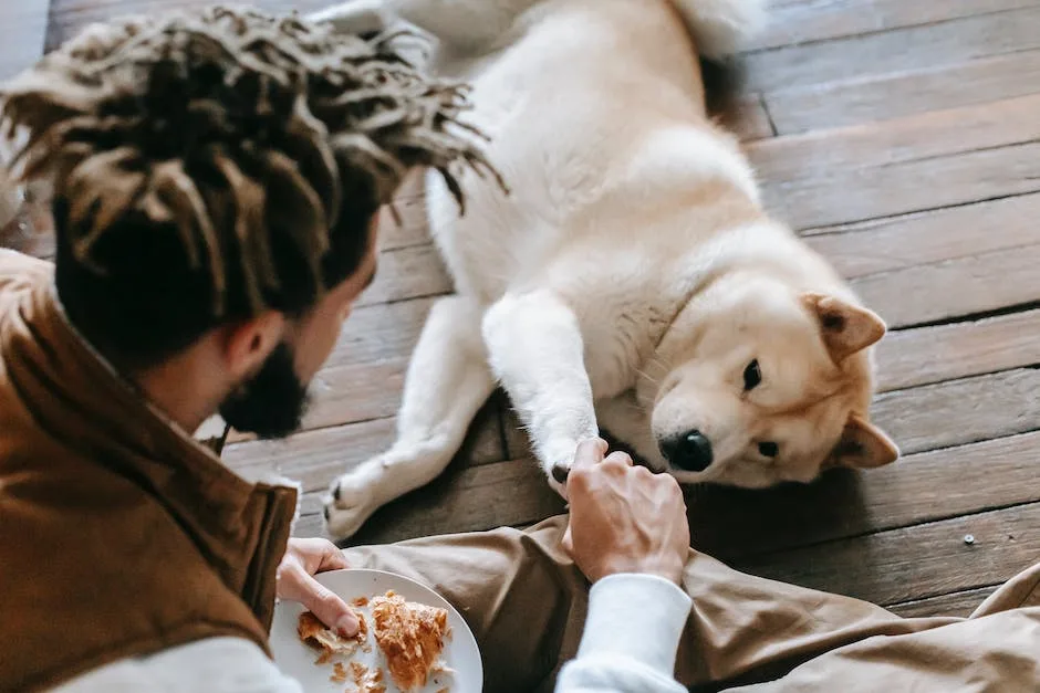 What is the best dry dog food for german shepherds? 3 what is the best dry dog food for german shepherds_2